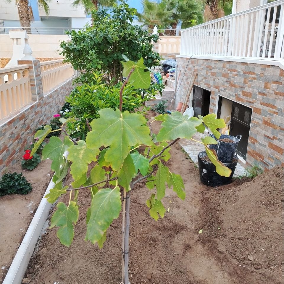 Manitas y reformas en Guardamar del Segura Solado en un jardin en La Mata