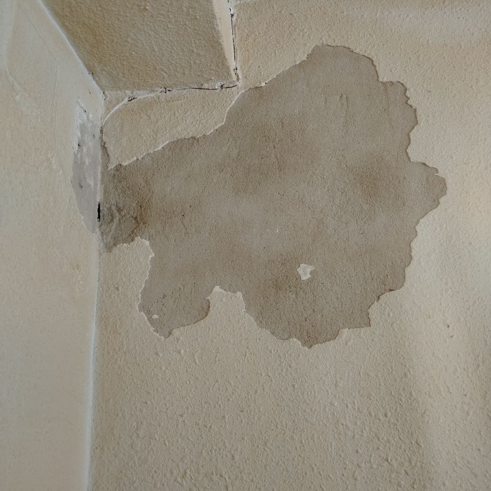 Manitas y reformas en Guardamar del Segura La pared antes de la reforma